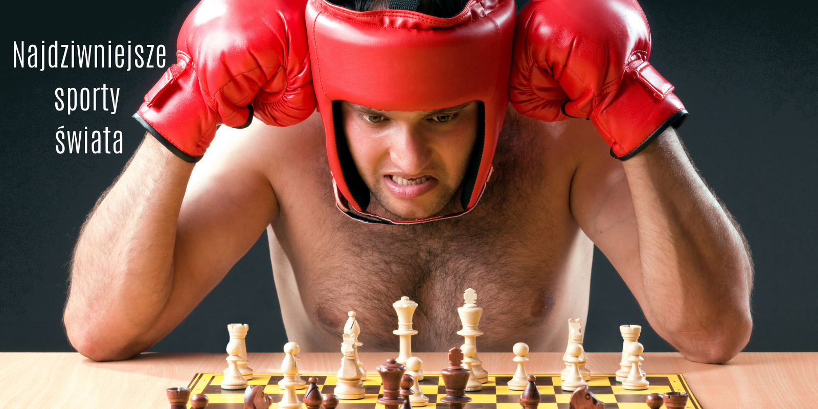 Deal Of The Day: Chessboxing! Chess And Boxing. Together